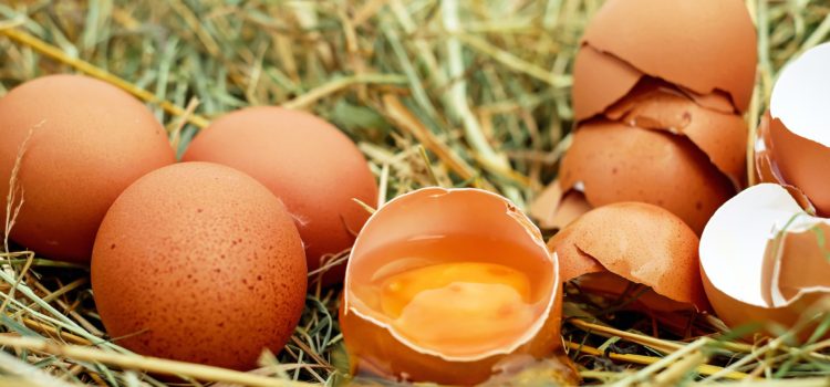 Is It Safe To Eat Eggs With Blood Spots?