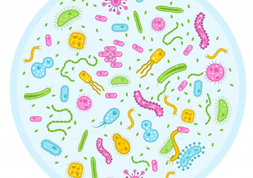 The 7 Most Common Disease-Causing Bacteria