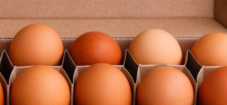 Are The Eggs Fresh? Here Are 2 Tests To Know