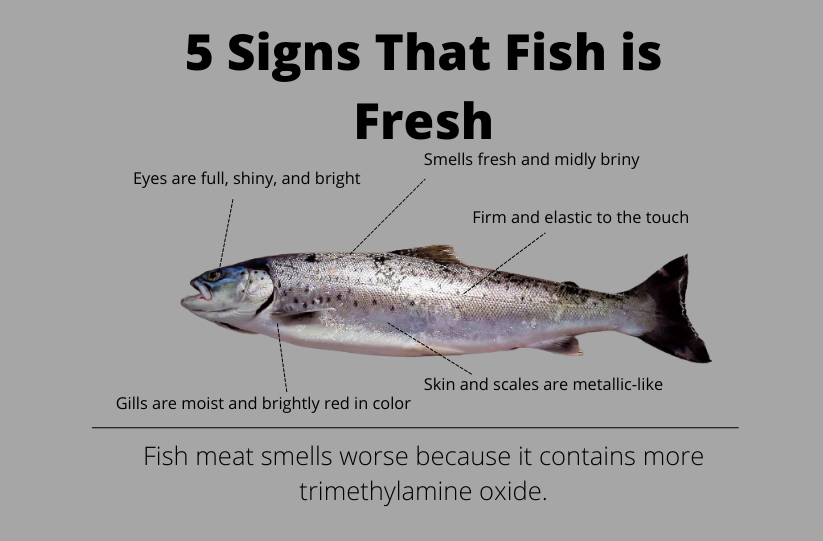 Signs to tell if fish Is fresh