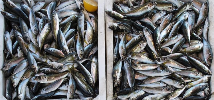 These 5 Signs Will Tell You If Fish Is Fresh