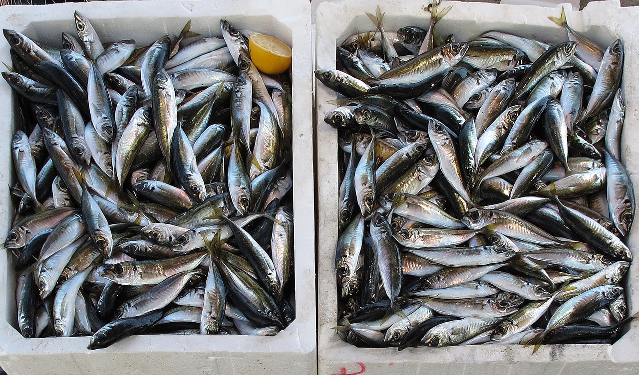 These 5 Signs Will Tell You If Fish Is Fresh - The Food Untold