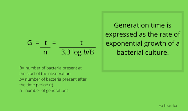 Bacterie generation time formula