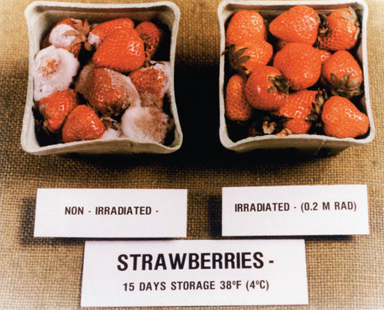 This shows how effective food irradiation is in fruit