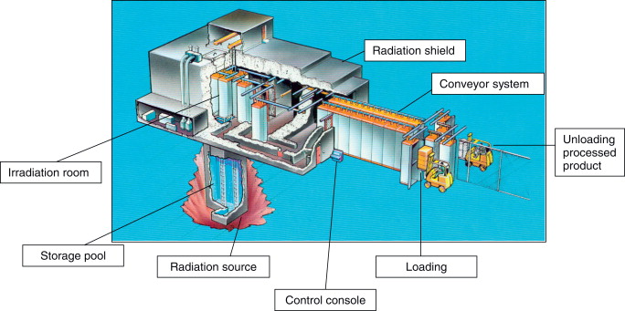 A food irradiation facility set up