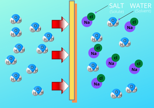 An illustration how salt draws moisture from the food