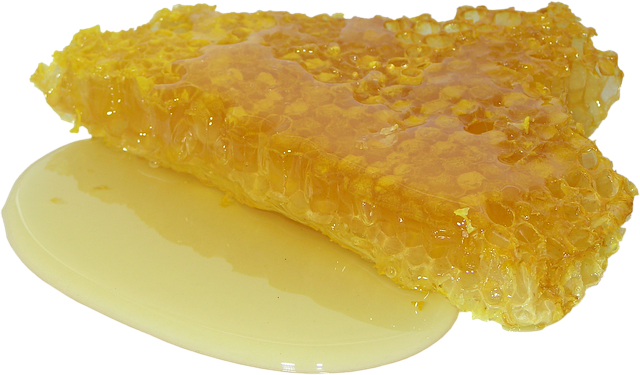 Yeast fermentation also does "spoil" honey