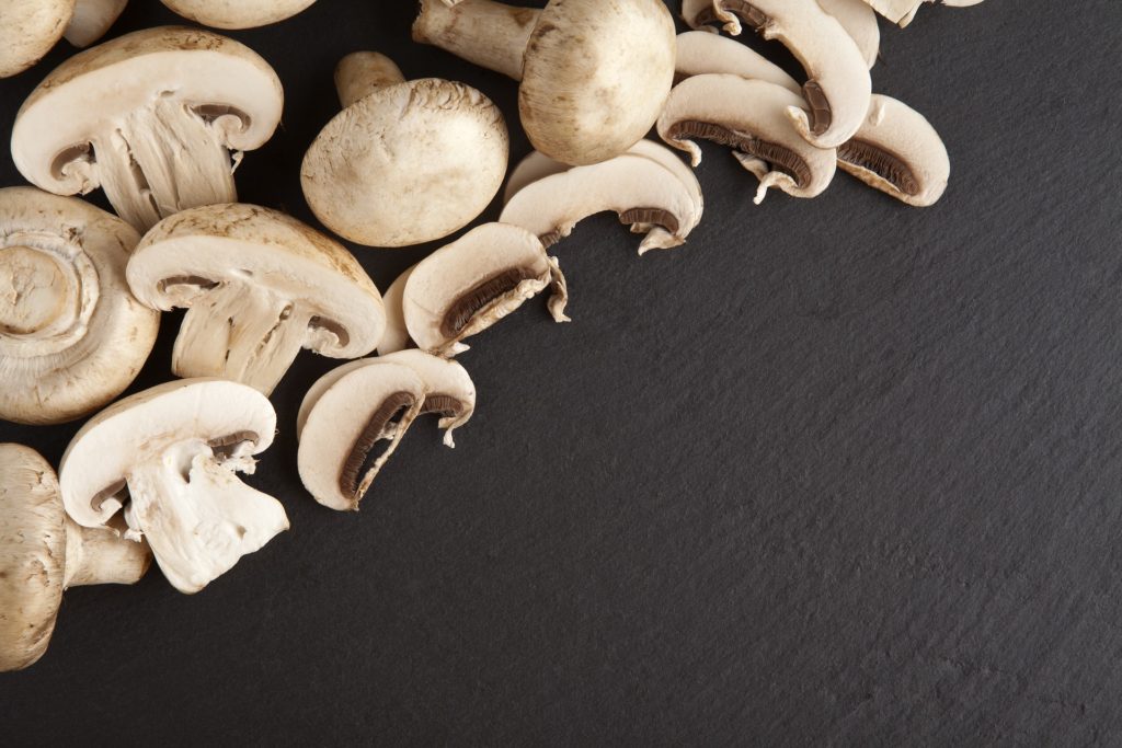 Science-Based Way Of Storing Mushrooms