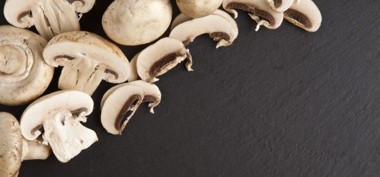 The Best Way Of Storing  Fresh Mushrooms