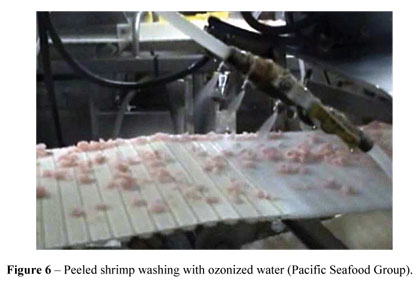 Ozone in food (shrimp) processing