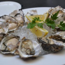 oysters