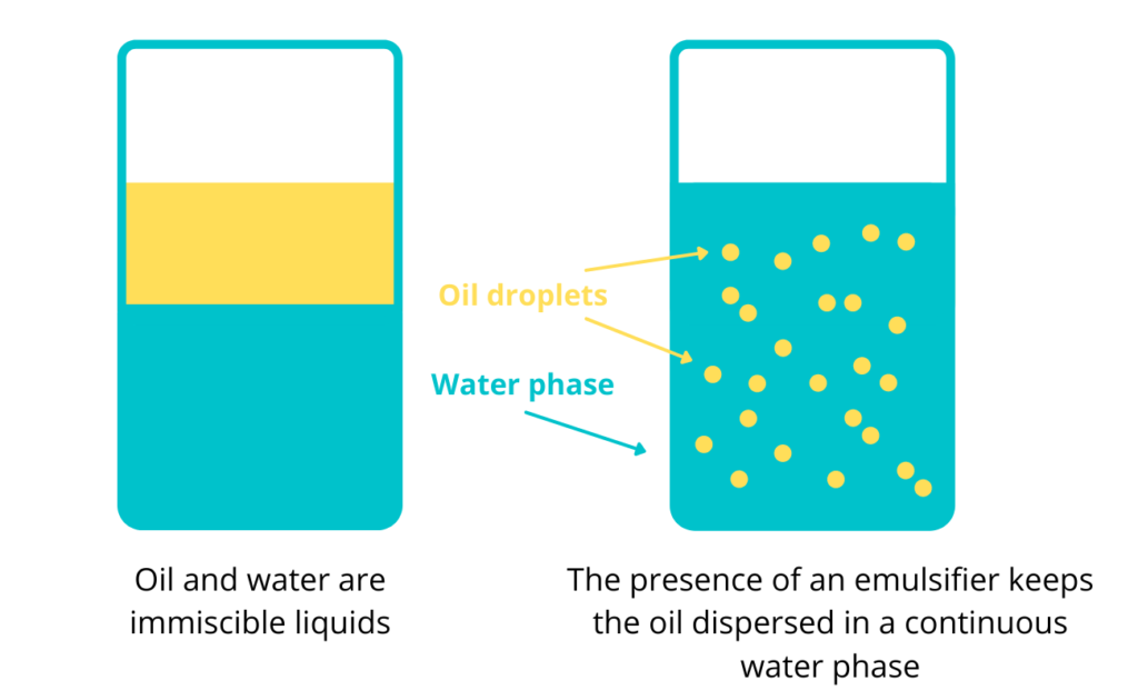 An illustration of how emulsifiers work in food