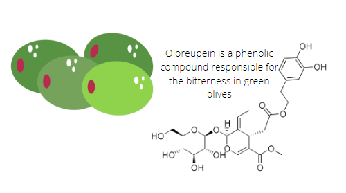 Oloreupein is a phenolic compound responsible for the bitterness in green olives.