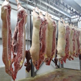 Meat Science: What Is Rigor Mortis?