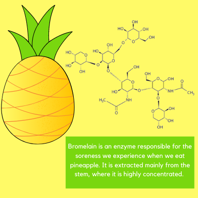 Cooking is a much better way to reduce the soreness in pineapples though. Processed pineapples like those canned have little enzyme activity. This is because bromelain is heat-sensitive and easily denatured at elevated temperatures. 