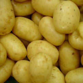 Why Potatoes Turn Green?