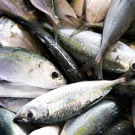 5 Reasons That Make Fish Highly Perishable