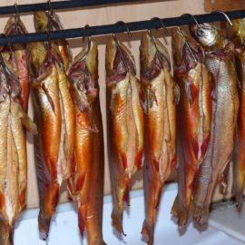 Things You Need To Know About Smoking Fish