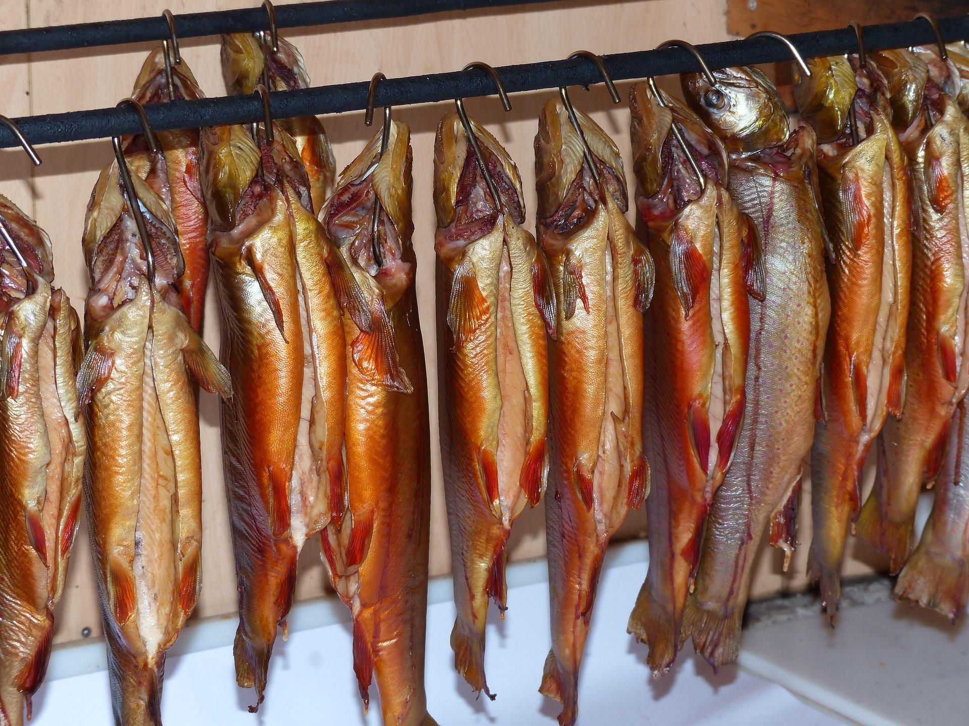 fish, stockfish, dried fish. smoked fish