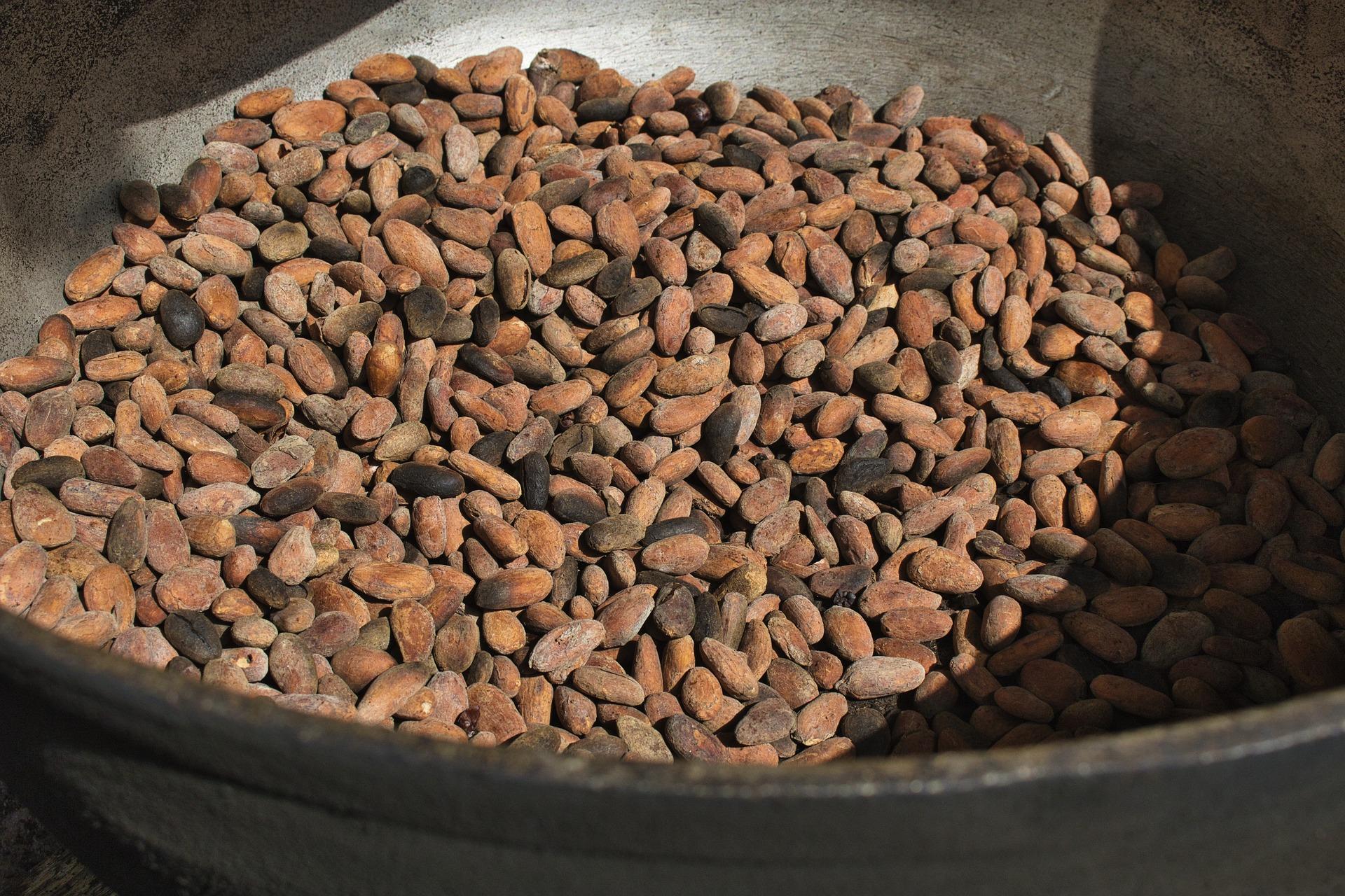 Roasting cocoa beans