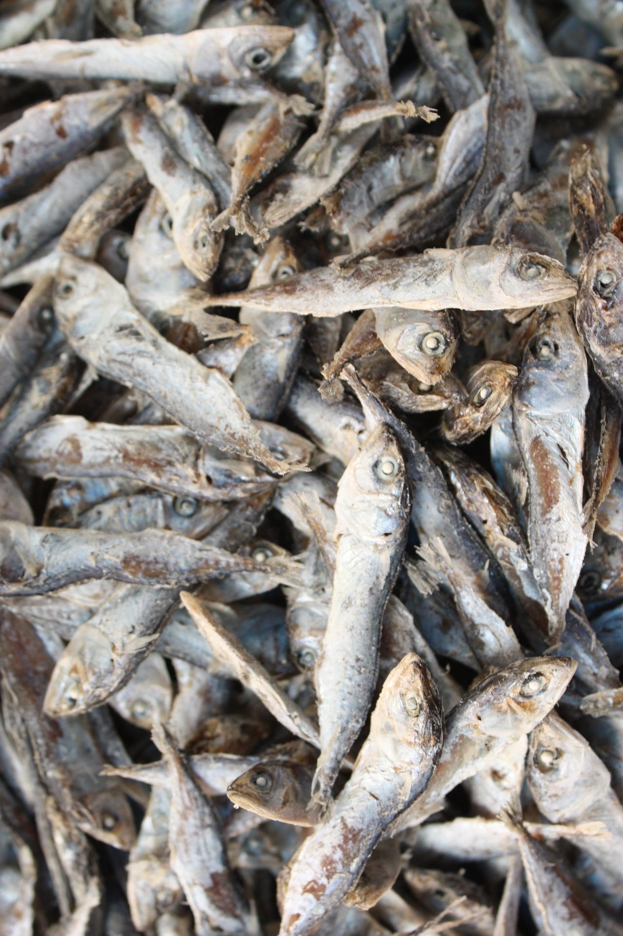 The Science Of Making Salted Fish