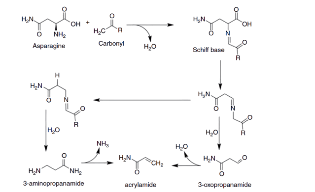 Mechanism of formation of acrylamide from asparagine