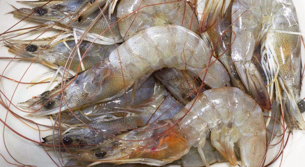 Why Do Shrimp Change Color When Cooked? Explained