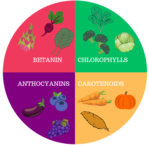 The 4 major natural pigments in food