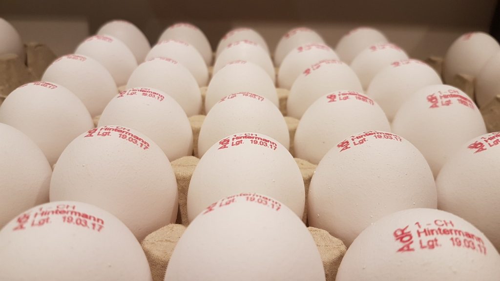 Expiry Date For Eggs: Is It Time To Throw Them Out?