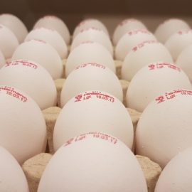 Expiry Date For Eggs: Is It Time To Throw Them Out?